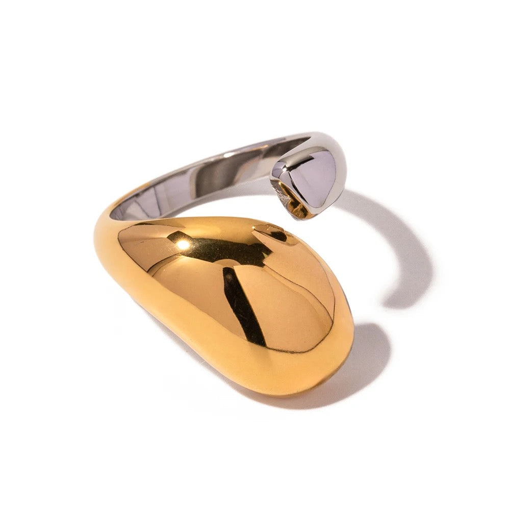 Dora Mixed Metal Ring